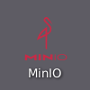 MinIO desktop icon