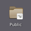 Public-folder shortcut icon